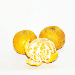 Orange - nie tylko smaczne owoce ale także kolorowy świat wielu możliwości