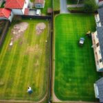 trawa z siewu michałowice